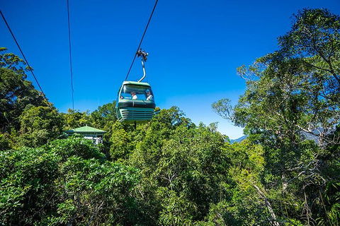 Skyrail Rainforest Cableway Day Trip From Cairns - Pubs Melbourne 1