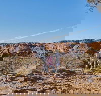 The Amazing Kings Canyon 4-Hours Walking Tour and Hike - Pubs Melbourne