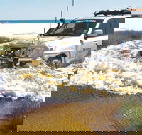 Full-Day Moreton Island 4x4 Sightseeing Tour - Pubs Melbourne