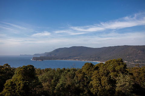 Port Arthur And Tassie Devils Active Day Tour From Hobart - Pubs Melbourne 5