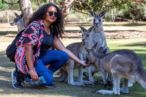 3-Day Tasmania Combo: Hobart To Launceston Active Tour - Pubs Melbourne 5