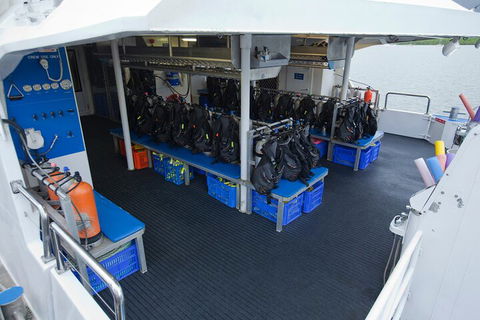 Silverswift Outer Great Barrier Reef Dive And Snorkel Cruise From Cairns - Pubs Melbourne 0