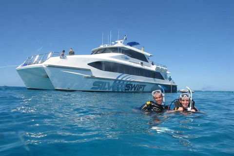 Silverswift Outer Great Barrier Reef Dive And Snorkel Cruise From Cairns - Pubs Melbourne 4