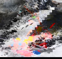 Barron Gorge National Park Half-Day White Water Rafting from Cairns or Port Douglas - Pubs Melbourne