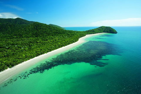 Cape Tribulation, Mossman Gorge, And Daintree Rainforest Day Trip From Cairns Or Port Douglas - Pubs Melbourne 2