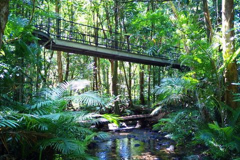Cape Tribulation, Mossman Gorge, And Daintree Rainforest Day Trip From Cairns Or Port Douglas - Pubs Melbourne 3