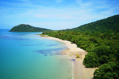Cape Tribulation, Mossman Gorge, And Daintree Rainforest Day Trip From Cairns Or Port Douglas - Pubs Melbourne 5
