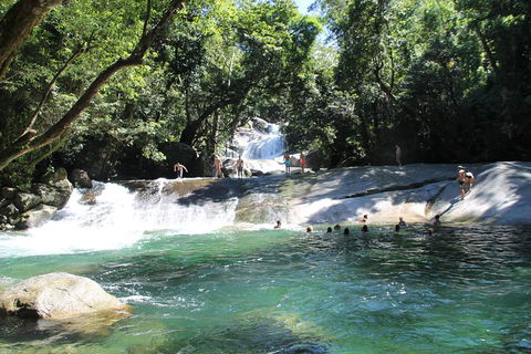 Double Pack-Ancient Rainforest And Waterfalls! - Pubs Melbourne 2