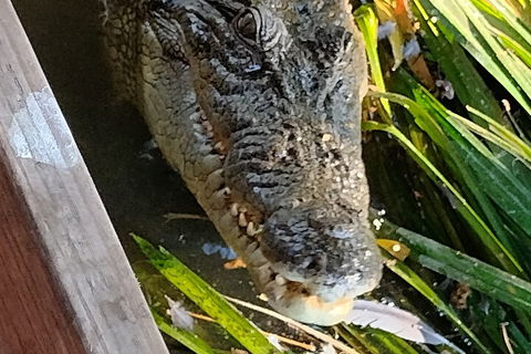 Litchfield Park Adventures And Jumping Crocodile Cruise + Butterfly Farm - Pubs Melbourne 1