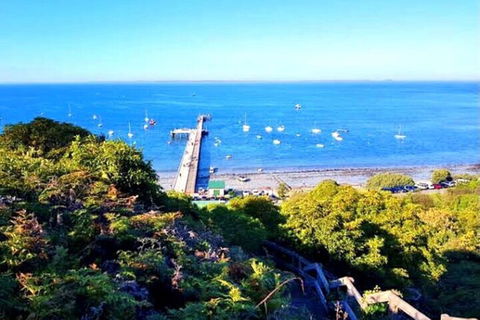 Mornington Peninsula Sightseeing Tour For 2-6 Guests. - Pubs Melbourne 1