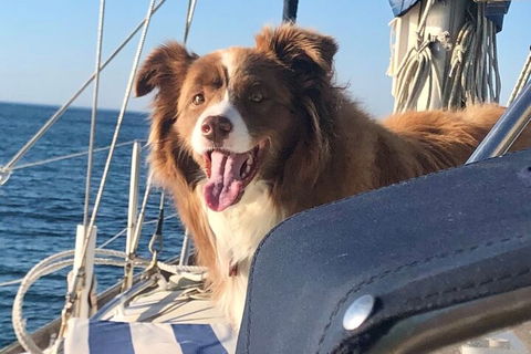 Mornington Peninsula Sightseeing Tour For 2-6 Guests. - Pubs Melbourne 2