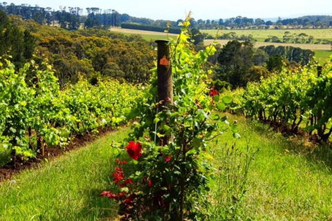 Mornington Peninsula Sightseeing Tour For 2-6 Guests. - Pubs Melbourne 3