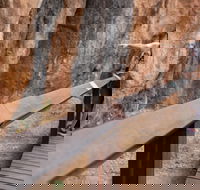 Chillagoe Caves and Outback Day Trip from Cairns - Pubs Melbourne