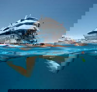 3 Day Great Barrier Reef Daintree Rainforest and Outback Chillagoe Tour - Pubs Melbourne