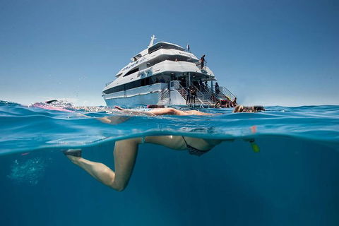 3 Day Great Barrier Reef, Daintree Rainforest And Outback Chillagoe Tour - Pubs Melbourne 0