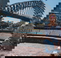 Sydney Private Tours by Locals 100 Personalized See the City Unscripted - Pubs Melbourne