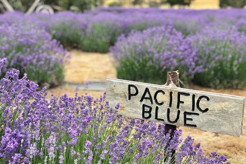 Kangaroo Island Food And Wine Hop-on Hop-off Tour - Pubs Melbourne 4
