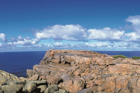 4 Day Tour: Albany, Margaret River, Valley Of The Giants TreeTop Walk From Perth - Pubs Melbourne 0