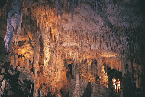 4 Day Tour: Albany, Margaret River, Valley Of The Giants TreeTop Walk From Perth - Pubs Melbourne 1