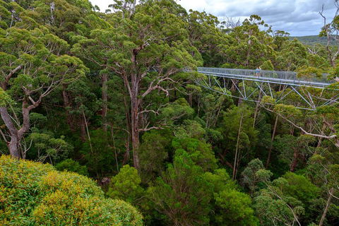 4 Day Tour: Albany, Margaret River, Valley Of The Giants TreeTop Walk From Perth - Pubs Melbourne 4