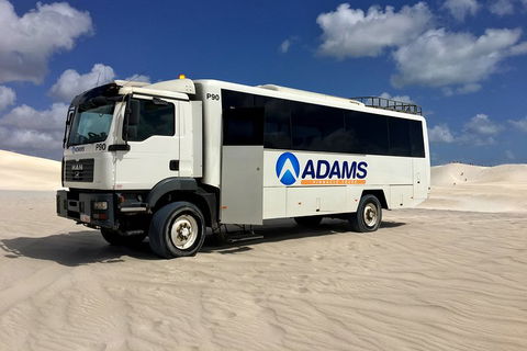 Pinnacles Desert, Koalas And Sandboarding 4WD Day Tour From Perth - Pubs Melbourne 2