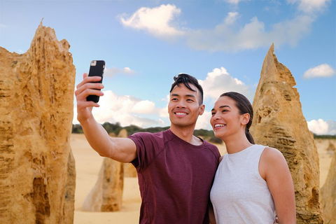 Pinnacles Desert, Koalas And Sandboarding 4WD Day Tour From Perth - Pubs Melbourne 4