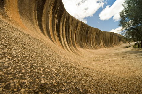 Wave Rock, York, Wildflowers, And Aboriginal Cultural Day Tour From Perth - Pubs Melbourne 0