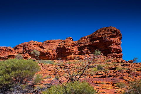 7-Day Guided Tour Of Alice Springs With Accommodation Included - Pubs Melbourne 4