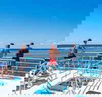 Calypso Outer Great Barrier Reef Cruise from Port Douglas - Pubs Melbourne