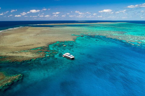 Calypso Outer Great Barrier Reef Cruise From Port Douglas - Pubs Melbourne 1