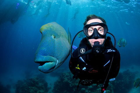 Full Day Reef Cruise Including 10 Minute Heli Scenic Flight: Get High Package - Pubs Melbourne 1