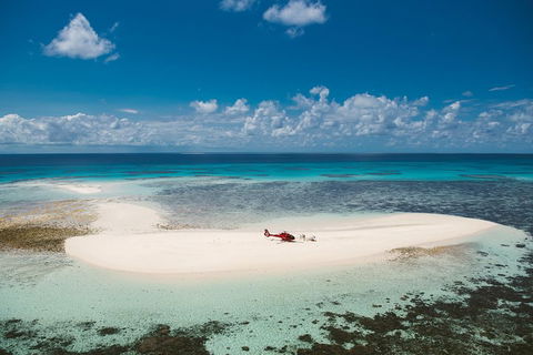 Private Helicopter Tour: Reef Island Snorkeling And Gourmet Picnic Lunch - Pubs Melbourne 4