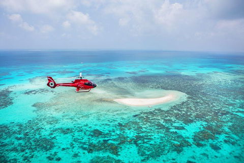 Private Helicopter Tour: Reef Island Snorkeling And Gourmet Picnic Lunch - Pubs Melbourne 5