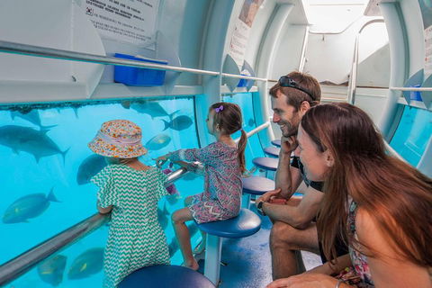 Scenic Helicopter Flight To Moore Reef And Return Snorkeling Cruise From Cairns - Pubs Melbourne 3