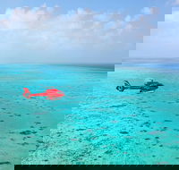 Port Douglas Scenic Flights - Pubs Melbourne