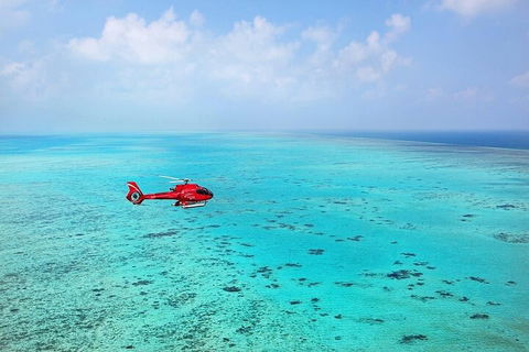 Ultimate Great Barrier Reef And Rainforest 45-minute Helicopter Tour - Pubs Melbourne 2