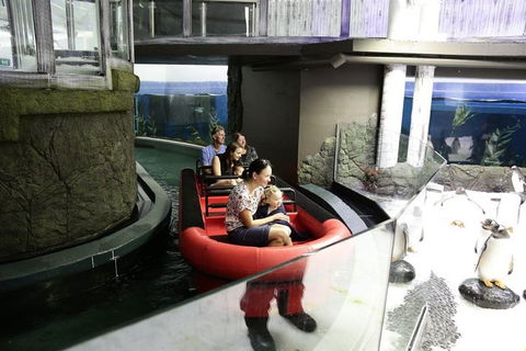 Sydney Attractions Pass: SEA LIFE Aquarium, Sydney Tower Eye, WILD LIFE Zoo And Madame Tussauds - Pubs Melbourne 0