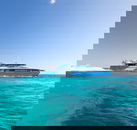 Rottnest Island All-Inclusive Grand Island Tour from Fremantle - Pubs Melbourne
