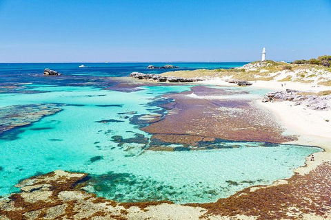 Rottnest Island Bike & Ferry Package From Fremantle - Pubs Melbourne 5