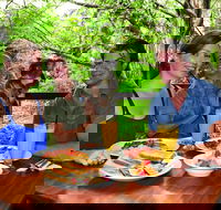 Breakfast with the Koalas at Hartley's Crocodile Park from Cairns or Palm Cove - Pubs Melbourne