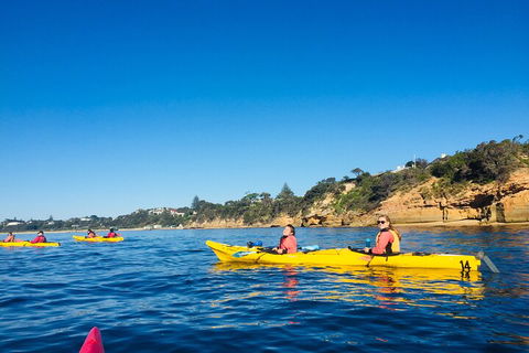 Mornington Peninsula Kayak Coastline Tour Of Dolphin Sanctuary - Pubs Melbourne 1