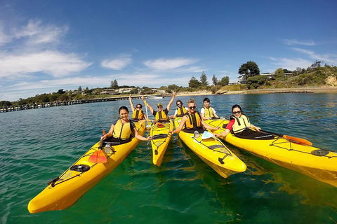Mornington Peninsula Kayak Coastline Tour Of Dolphin Sanctuary - Pubs Melbourne 2