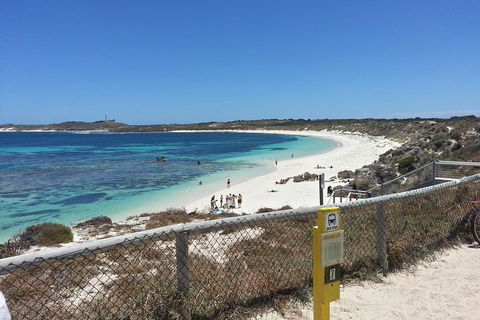 Wave Rock, Pinnacles And Rottnest One Day Aeroplane Tour - Pubs Melbourne 2