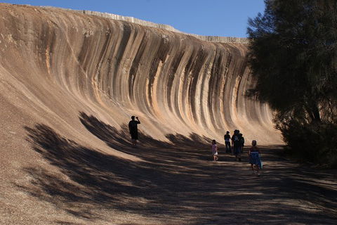 Wave Rock, Pinnacles And Rottnest One Day Aeroplane Tour - Pubs Melbourne 4