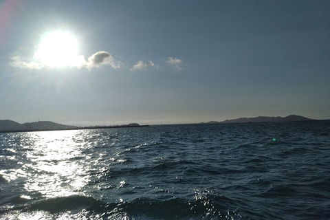 Townsville Small Group Early Morning Sailing Cruise Boat Tour Charter Hire - Pubs Melbourne 4