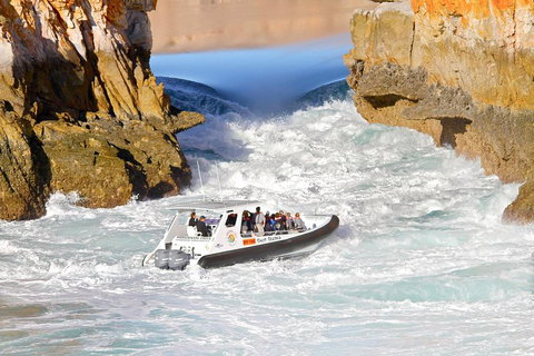 Horizontal Falls Half-Day Tour From Broome - Pubs Melbourne 1