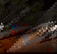 Alice Springs Desert Park Nocturnal Tour - Pubs Melbourne