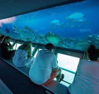 Great Barrier Reef Day Cruise to Reefworld - Pubs Melbourne