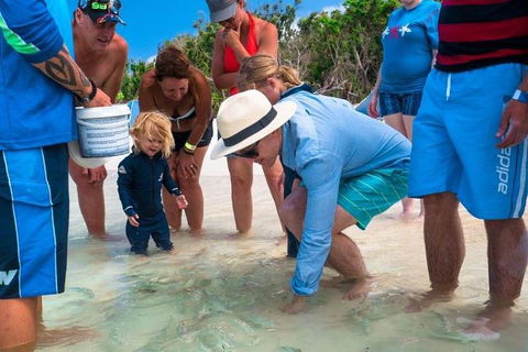 Whitehaven Beach And Hamilton Island Cruise - Pubs Melbourne 1