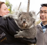 Bonorong Wildlife Park and Richmond Afternoon Tour from Hobart - Pubs Melbourne